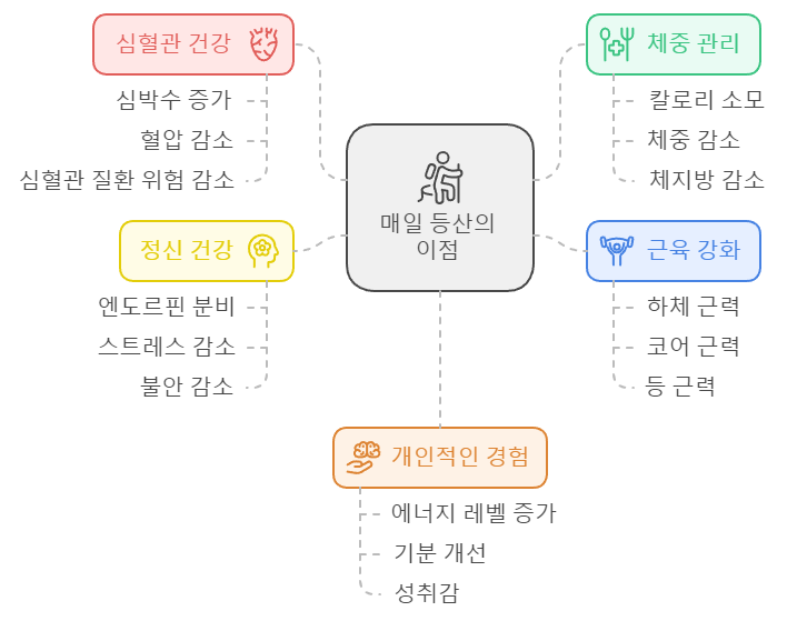 매일 등산 효과